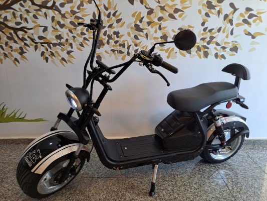 Scooter Elétrica, Moto Elétrica