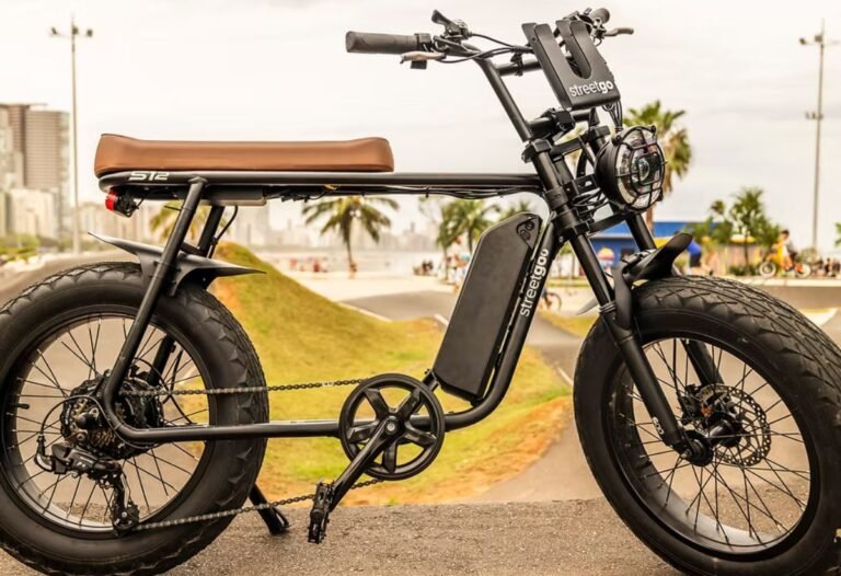 bile elétrica streetgo s12 ecomotors campinas indaiatuba (1)