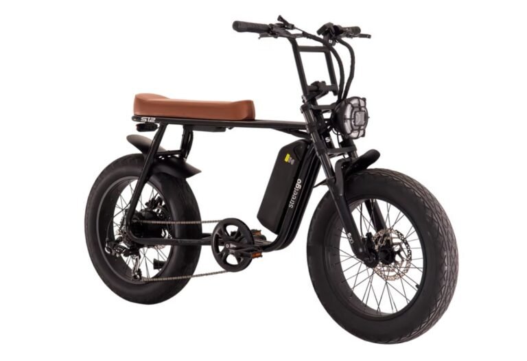 bile elétrica streetgo s12 ecomotors campinas indaiatuba (1)