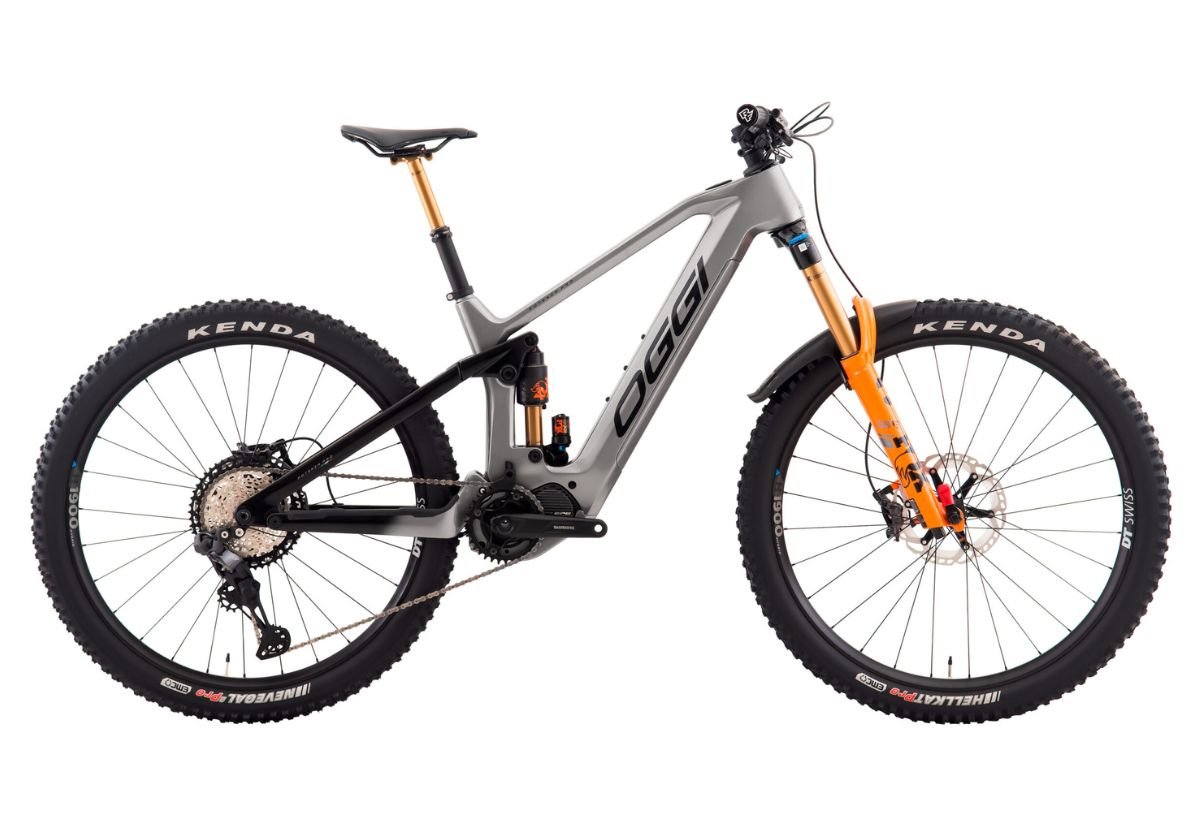 mountain bike eletrica oggi Potenza Pro